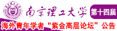 大鸡巴操美女小学的网站南京理工大学第十四届海外青年学者紫金论坛诚邀海内外英才！